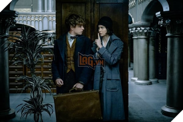 Katherine Waterston sẽ tham gia toàn bộ seri Fantastic Beasts