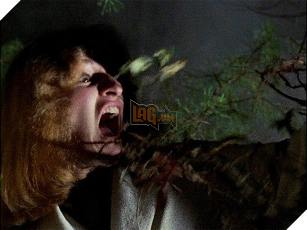  Theo dòng điện ảnh Nghệ thuật thức tỉnh cây cối trong phim ảnh 2