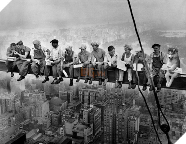 Chùm ảnh chế của chú chó Husky ngã cây nhất quả đất - Ảnh 19.