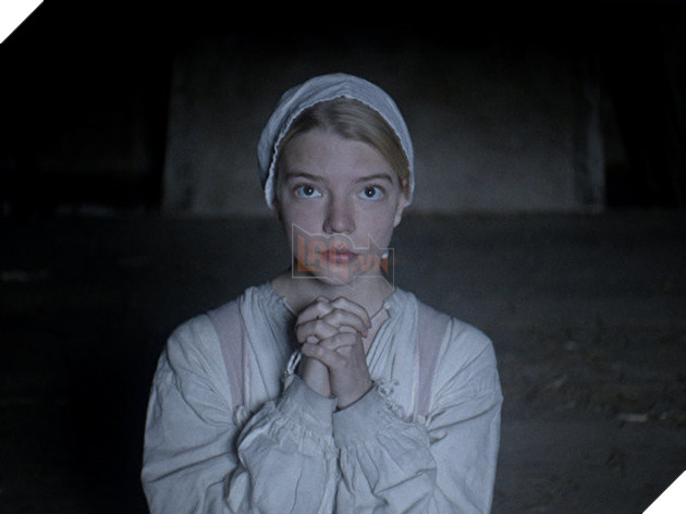 Những phim kinh dị ấn tượng năm 2016 4