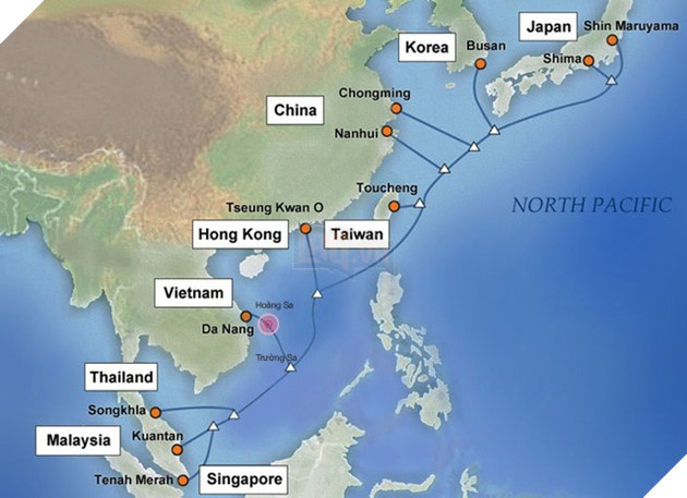 Cap quang bien APG vua khai thac da dut hinh anh 1