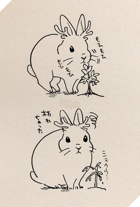 Tổng hợp ảnh anime cute thỏ dễ thương và đáng yêu