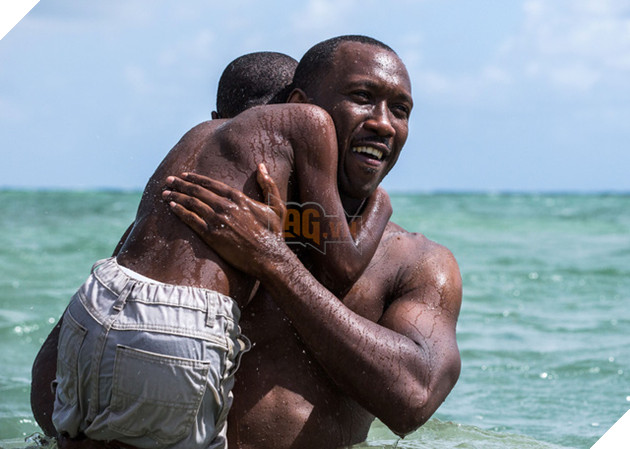 Chi tiết danh sách đề cử Oscar 2017, "La La Land" đi vào lịch sử với 14 đề cử