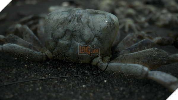 Kojima cho biết Death Stranding là dành cho PS4, nói về khả năng phần tiếp theo 3