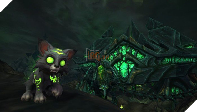 Chú mèo trong game online này đã kiếm được hơn 50 tỷ đồng làm từ thiện!