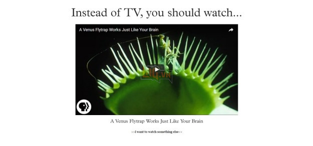 9 website tuyệt vời và hữu ích ai cũng tiếc vì không biết sớm hơn - Ảnh 3.