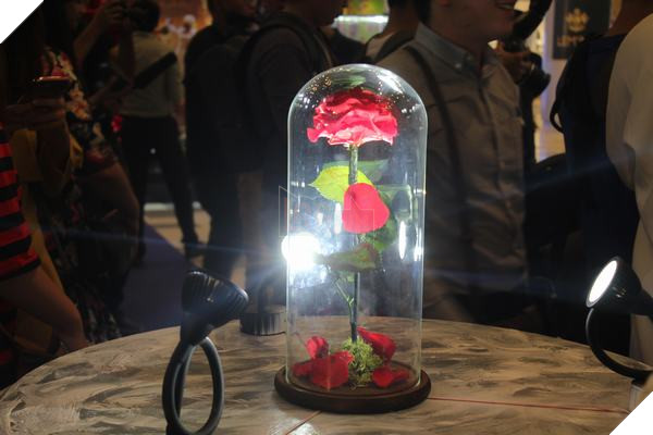 Beauty and the Beast: Họp báo giới thiệu phim tại Sài Gòn