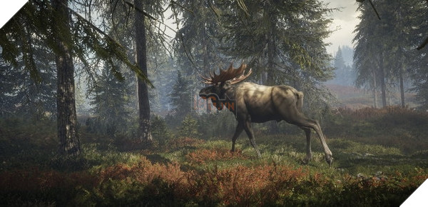 Tựa game săn bắn The Hunter: Call of the Wild ra mắt PS4, Xbox One 2