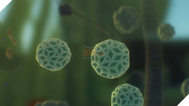 
Chi tiết tới từng hạt phấn hoa.
