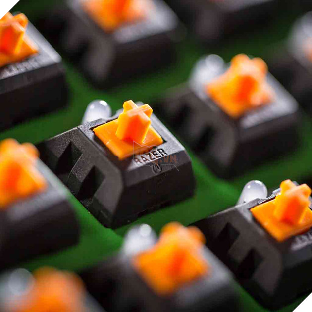Các loại switch phổ biến hiện nay trên bàn phím cơ mà bạn cần biết 12