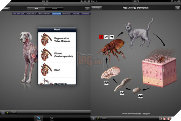 7 ứng dụng trên iPhone đắt tới mức khó tin - Ảnh 5.