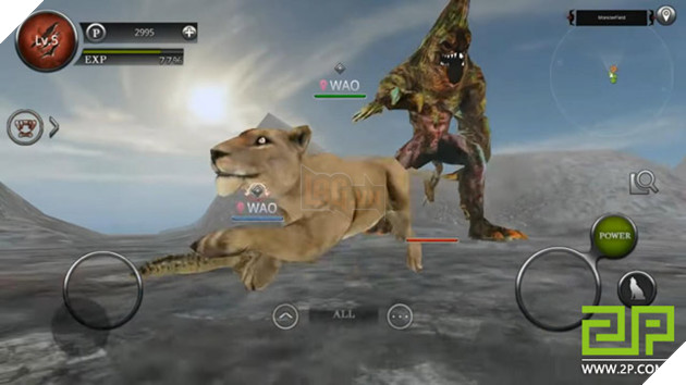 Wild Animals Online - Game kỳ quặc cho game thủ hoá thân thành Hổ, Báo, Gấu... đi đánh nhau với Rồng