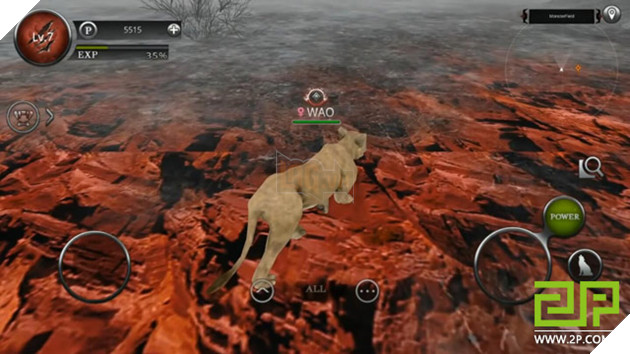 Wild Animals Online - Game kỳ quặc cho game thủ hoá thân thành Hổ, Báo, Gấu... đi đánh nhau với Rồng