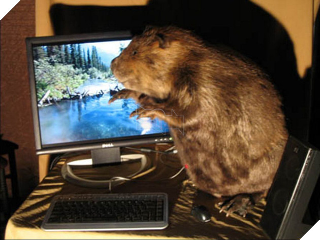 22 hệ thống PC quái dị, đẹp mắt và sáng tạo đến độ chẳng còn giống PC nữa