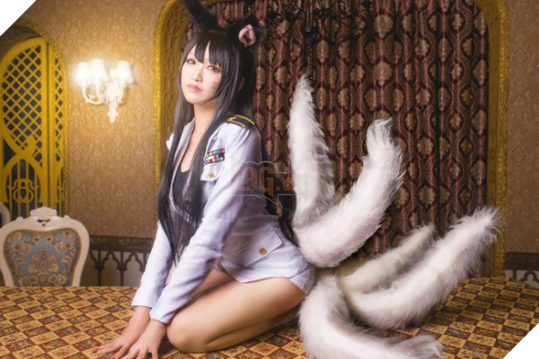 ahri14