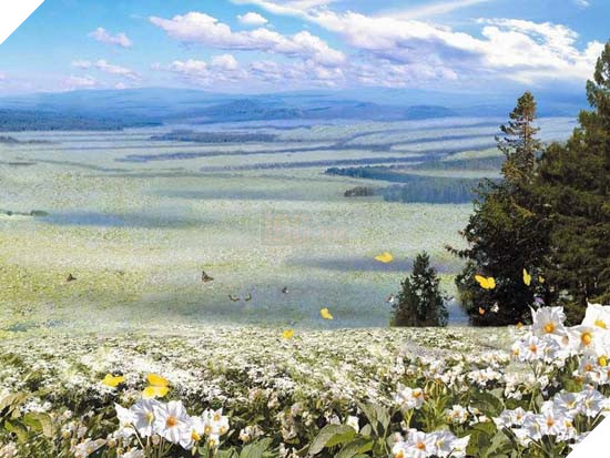 Đây là cách bạn dùng một chiếc máy tính ở Triều Tiên - Ảnh 24.