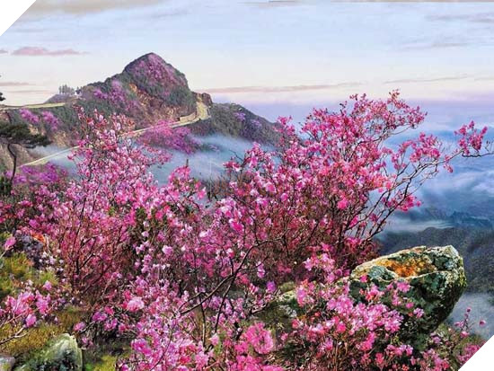 Đây là cách bạn dùng một chiếc máy tính ở Triều Tiên - Ảnh 23.