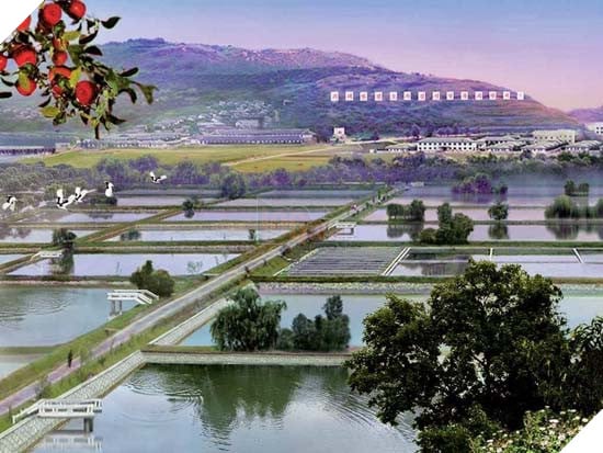 Đây là cách bạn dùng một chiếc máy tính ở Triều Tiên - Ảnh 20.