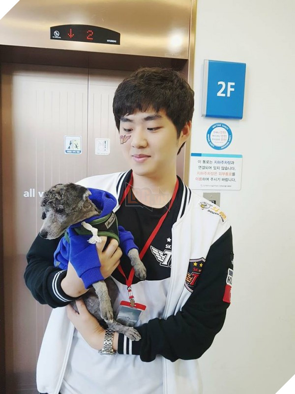 Trước khi siêu đại chiến giữa SKT và KT Rolster diễn ra, quang cảnh nơi thi đấu trông như thế này đây