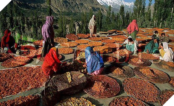 Vùng đất 900 năm không có ai mắc ung thư - Ảnh 3.