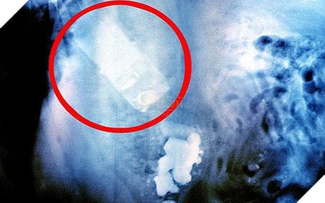 Có thể bạn không tin nhưng nhiều người đã mất điện thoại theo kiểu dở khóc dở cười thế này đây - Ảnh 3.