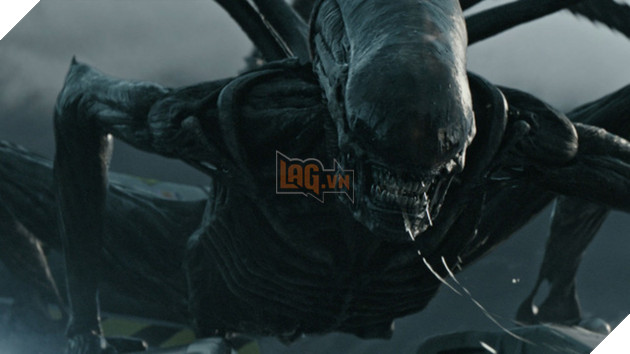 
Quái vật Xenomorph trở lại với độ hung hãn tăng gần nhiều lần
