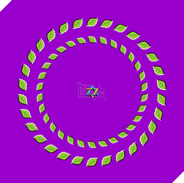 13 ảo giác thị giác bắt lú ngay cả những người tỉnh táo nhất - Ảnh 19.