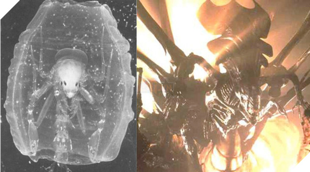 Bí ẩn đứng sau tạo hình khủng khiếp của Alien - Ảnh 7.