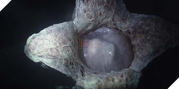 14 hiện thân ghê rợn của "Alien" ghê rợn đã xuất hiện trong thương hiệu phim