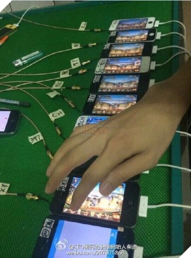 Thâm nhập "động bàn tơ" chuyên cày game với hơn 1000 chiếc máy di động