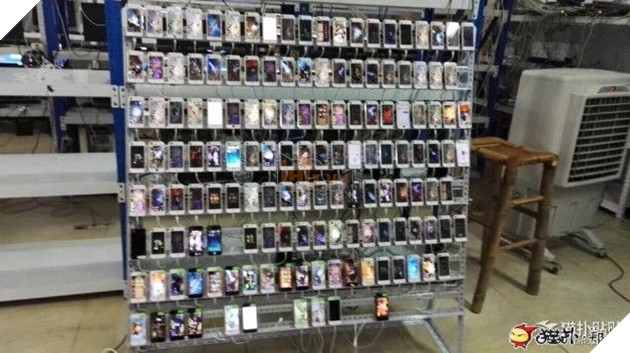 Thâm nhập "động bàn tơ" chuyên cày game với hơn 1000 chiếc máy di động