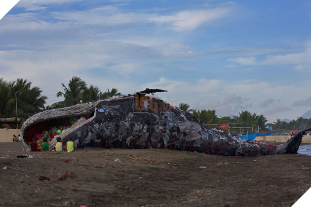 Cá voi khổng lồ nằm chết bên bãi biển, ai cũng sốc khi phát hiện ra thứ bên trong miệng nó - Ảnh 3.
