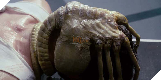 
Hãy cưới cô gái ôm bạn chặt như Facehugger bám vào vật chủ của nó
