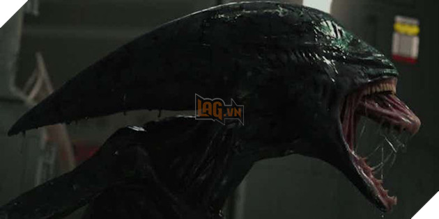 
Anh ý xuất hiện được 1 cảnh, và cảnh đó chỉ vỏn vẹn mấy giây
