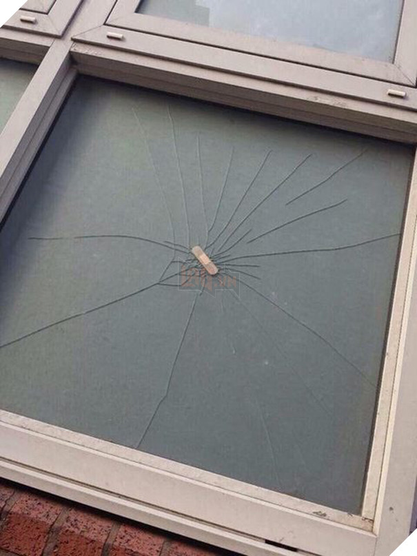 17 ý tưởng có một không hai được nghĩ ra bởi những người đầu óc không bình thường - Ảnh 31.