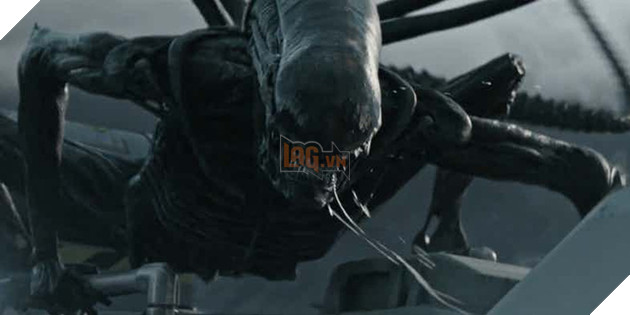 
Gương mặt mang đến những cơn ác mộng
