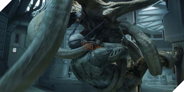 
Trilobites truyền phôi vào người của Kỹ sư
