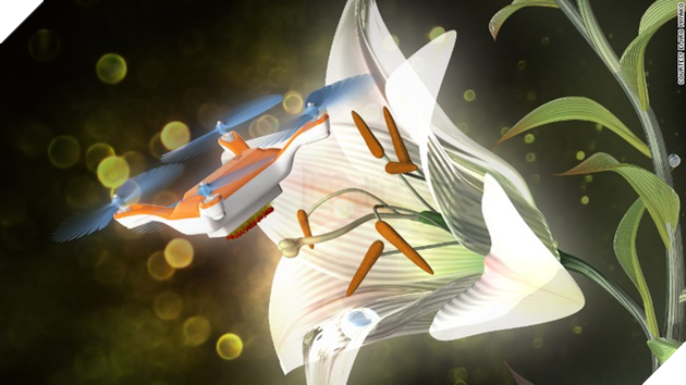 
Các nhà nghiên cứu đã thử nghiệm máy bay mini để thụ phấn cho một loại hoa.
