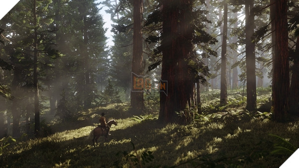 Cảnh rừng đẹp như thật