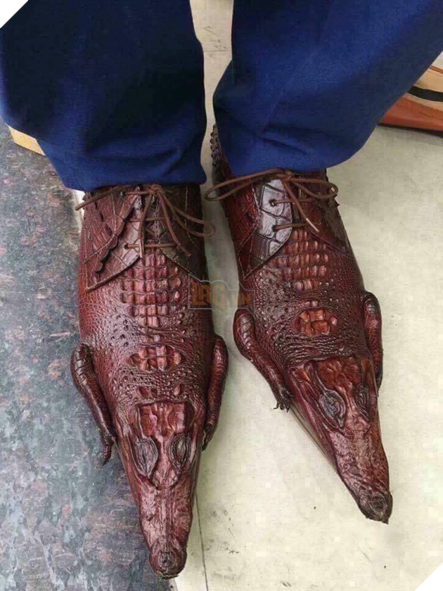 Khi được dặn con gái thích đàn ông đi giày da cá sấu.