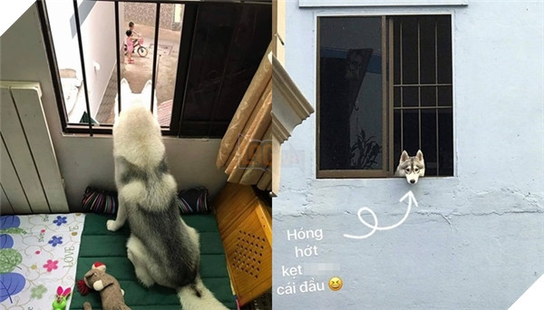 Lần sau đừng vì ham vui mà hại thân mình em nhé.