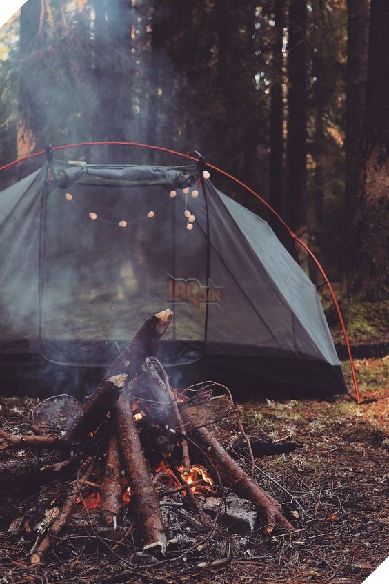 Chuyến dã ngoại sẽ thêm phầ thú vị và an toàn nếu bạn bỏ túi những bí quyết này.