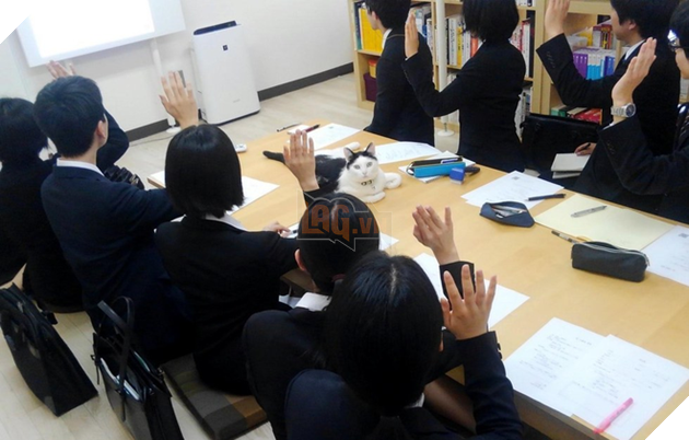 “Đại boss” đang điều hành một cuộc họp.