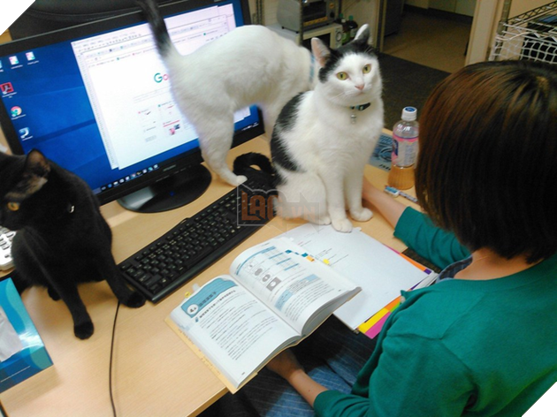 Dừng lại và chơi với em đi. Đến giờ nghỉ rồi.