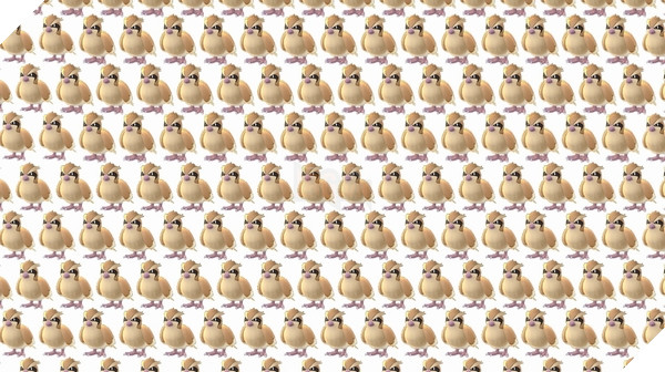 Pidgey, Pidgey, Pidgey