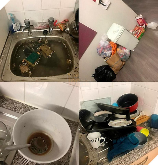 Cảnh tượng bẩn kinh hoàng trong gian bếp ở căn hộ mà Brittani đang sống