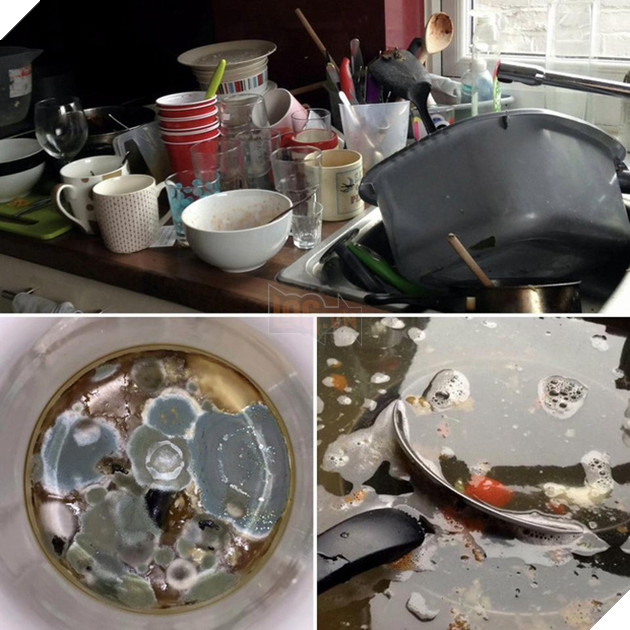 Cô gái xinh xắn rạng ngời này vừa giành giải ở dơ nhất nước Anh , đàn ông chớ có vội tin vào vẻ ngoài của phụ nữ đẹp! 5