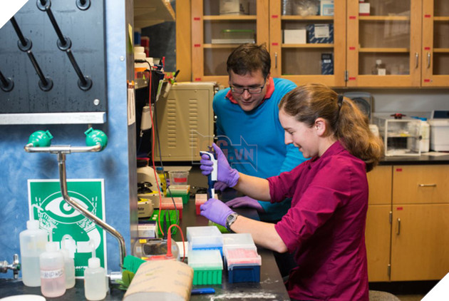 
Carmean (áo xanh) và Strauss đang tiến hành các thí nghiệm về ADN
