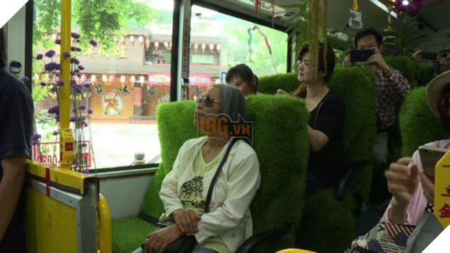 Giật mình khi thấy rừng cây nhiệt đới di chuyển trong thành phố Đài Loan và sự thật đằng sau nó - Ảnh 2.