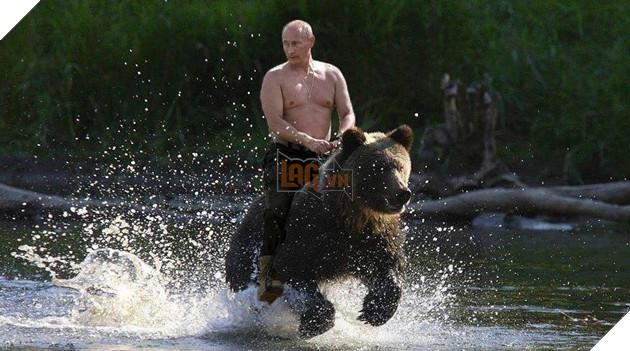 Nữ cosplayer Lara Croft chiến đấu cùng chú gấu thật và khổng lồ  6